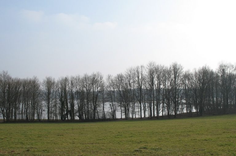 Le Lac - Base de Loisirs et d'Hébergements du Bourdon - Camping Lac du